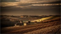 506 - FRENCH TOSCANE - BACQUEY PIERRE - france